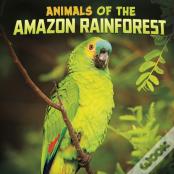 Animals Of The Amazon Rainforest