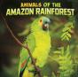 Animals Of The Amazon Rainforest - Preview
