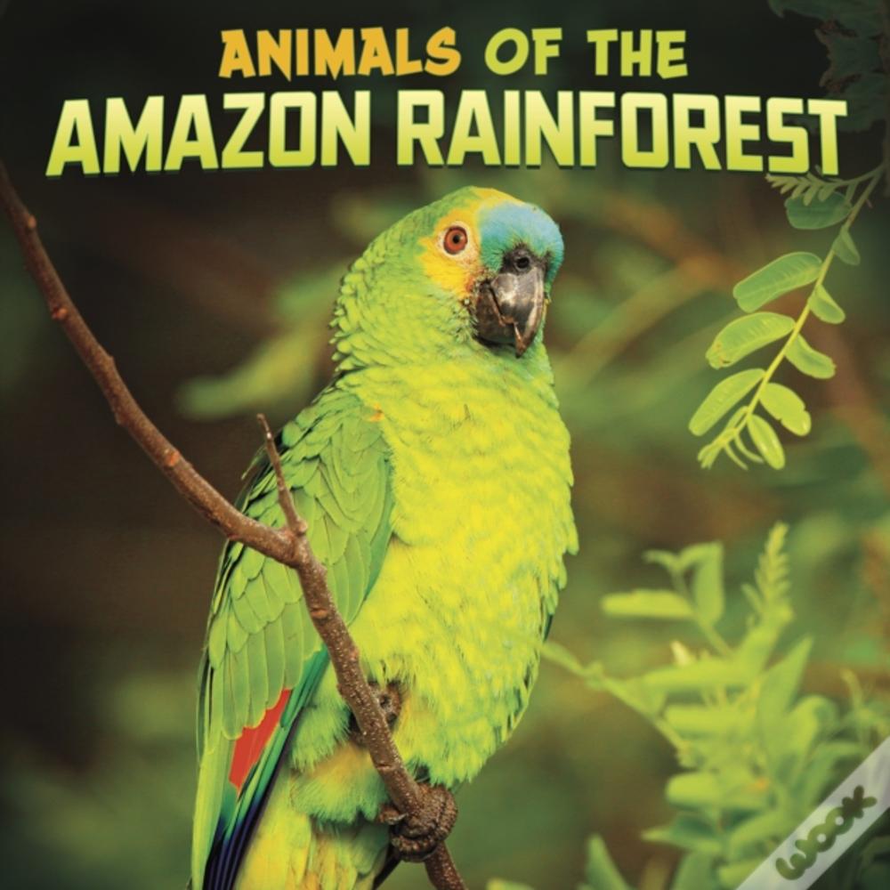 Animals Of The Amazon Rainforest