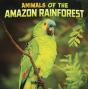 Animals Of The Amazon Rainforest - Preview