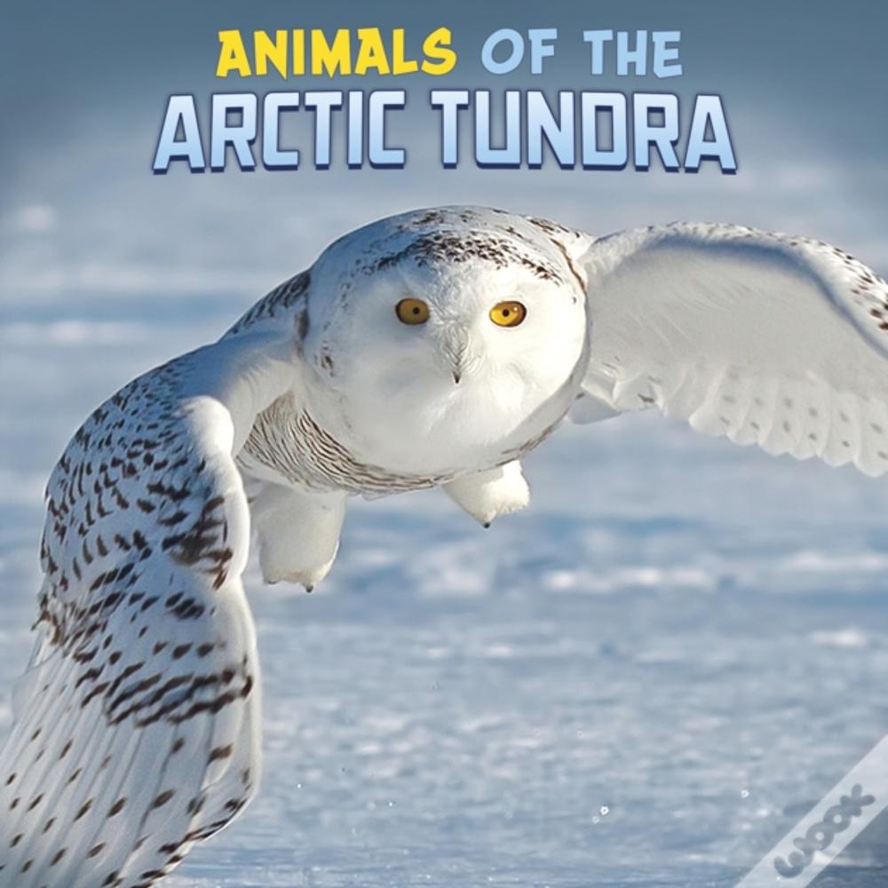Animals Of The Arctic Tundra