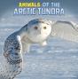 Animals Of The Arctic Tundra - Preview