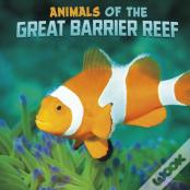 Animals Of The Great Barrier Reef