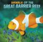 Animals Of The Great Barrier Reef - Preview