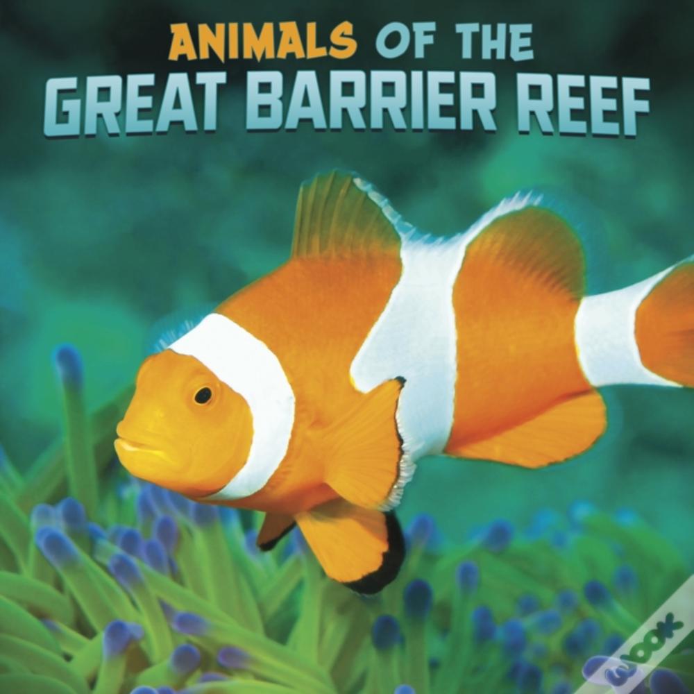 Animals Of The Great Barrier Reef