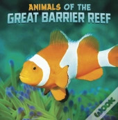 Animals Of The Great Barrier Reef