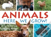Animals!