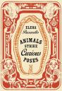 Animals Strike Curious Poses - Preview