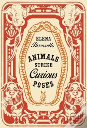 Capa do artigo Animals Strike Curious Poses
