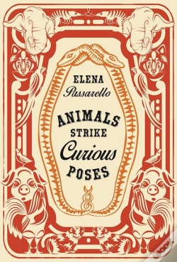 Capa do artigo Animals Strike Curious Poses