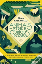 Capa do artigo Animals Strike Curious Poses