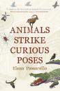 Animals Strike Curious Poses - Preview