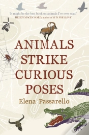 Capa do artigo Animals Strike Curious Poses