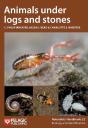 Animals Under Logs And Stones - Preview