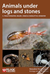 Capa do artigo Animals Under Logs And Stones