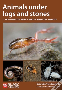 Capa do artigo Animals Under Logs And Stones