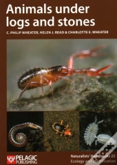 Animals Under Logs And Stones