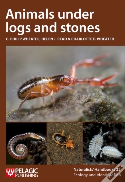 Capa do artigo Animals Under Logs And Stones