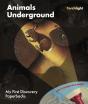 Animals Underground - Preview