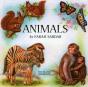 Animals - Preview