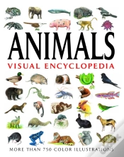 Capa do artigo Animals Visual Encyclopedia