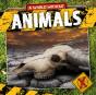 Animals - Preview