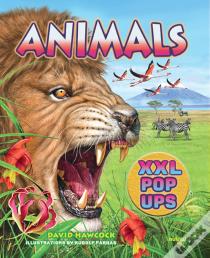 Animals Xxl Pop-Ups