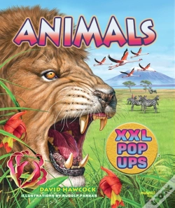 Capa do artigo Animals Xxl Pop-Ups