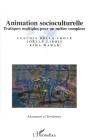 Animation Socioculturelle ; Pratiques Multiples Pour Un Métier Complexe - Preview
