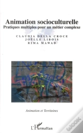 Animation Socioculturelle ; Pratiques Multiples Pour Un Métier Complexe