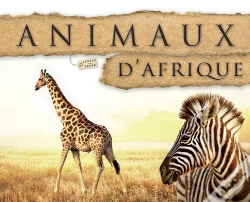 Capa do artigo Animaux D Afrique