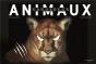 Animaux Dangereux - Preview