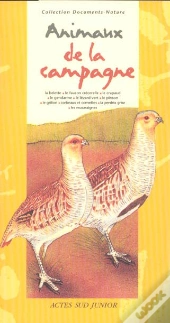 Animaux De La Campagne