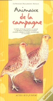 Capa do artigo Animaux De La Campagne