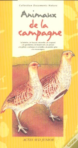 Capa do artigo Animaux De La Campagne