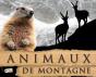 Animaux De Montagne - Preview