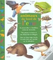 Capa do artigo Animaux Du Bord De L