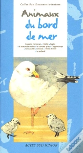 Animaux Du Bord De Mer