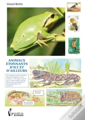 Capa do artigo Animaux Étonnants D