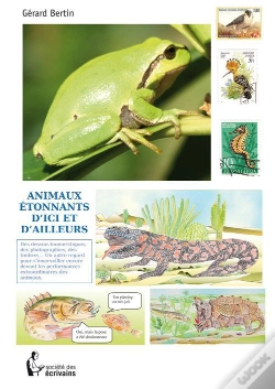 Capa do artigo Animaux Étonnants D'Ici Et D'Ailleurs