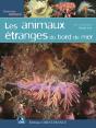Animaux Étranges En Bord De Mer - Preview