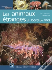 Animaux Étranges En Bord De Mer