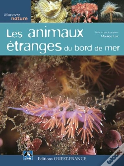 Capa do artigo Animaux Étranges En Bord De Mer