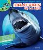 Animaux Marins - Preview