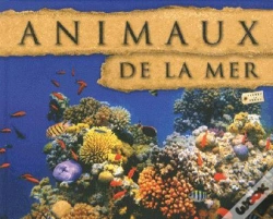 Capa do artigo Animaux Marins