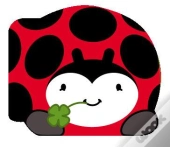 Animaux Mousse : La Coccinelle