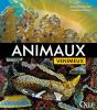 Animaux Venimeux - Preview