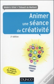 Capa do artigo Animer Une Séance De Créativité (2e Édition)