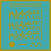 Capa do artigo Animist Pools - Vinil