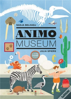 Capa do artigo Animo Museum
